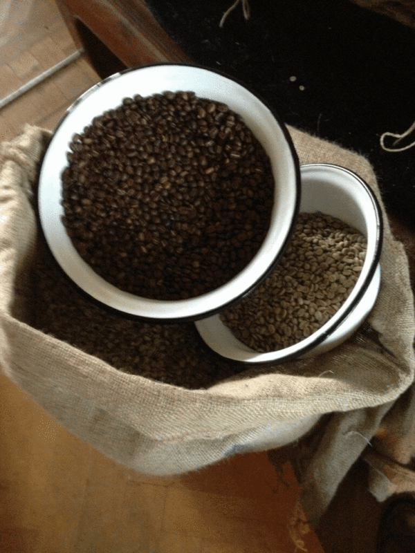 Evermore Proefpakket Koffie Bolivia