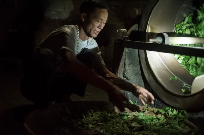 Cao Bo tea maker in Hà Giang, Vietnam