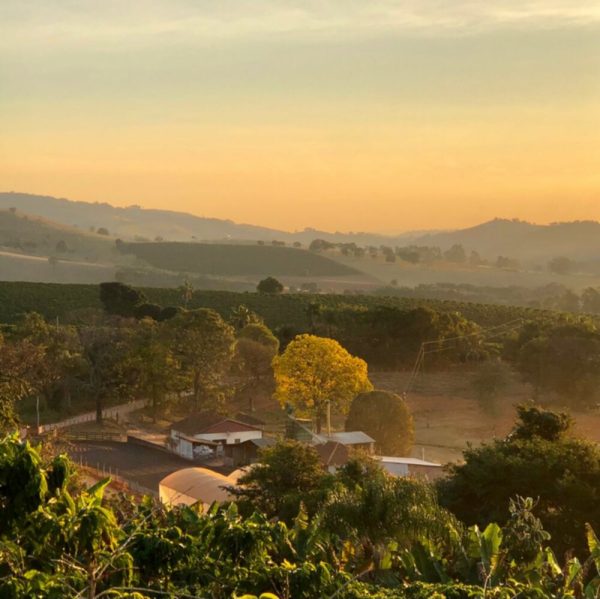 Brazilia Fazenda Capadocia overview