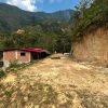 peru duberli koffiebonen