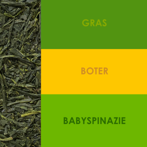 Tasting notes Sencha Kakegawa