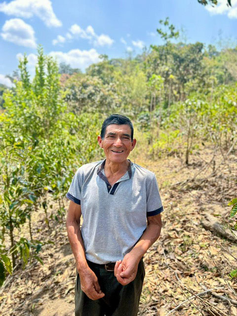 Peru Praxides Pintado Washed Anaerobic Geisha Coffee Beans - Image 2
